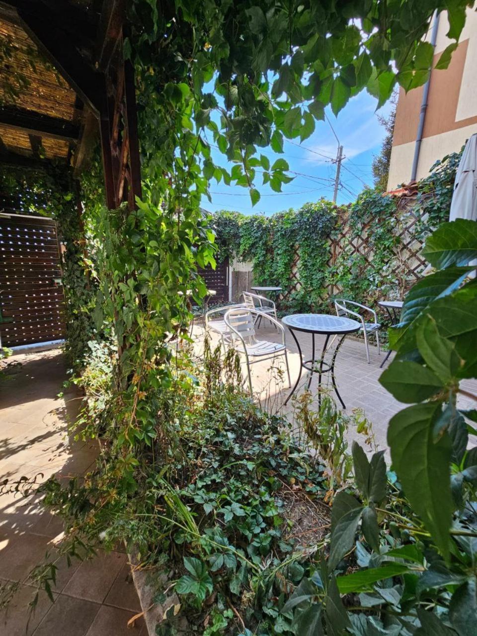 Vila Flavia B&B 콘스탄차 외부 사진