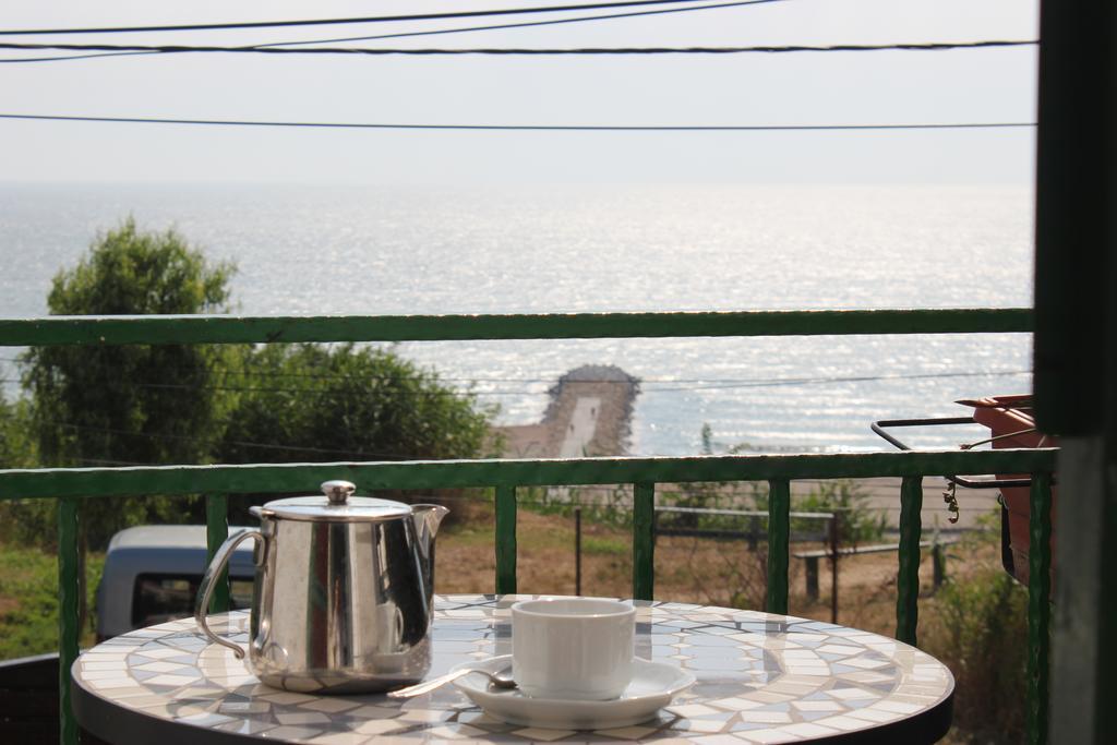 Vila Flavia B&B 콘스탄차 외부 사진